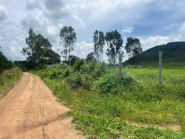 Đất vườn Tân Hội 1024m² giá 730 triệu - Cơ hội đầu tư hấp dẫn!