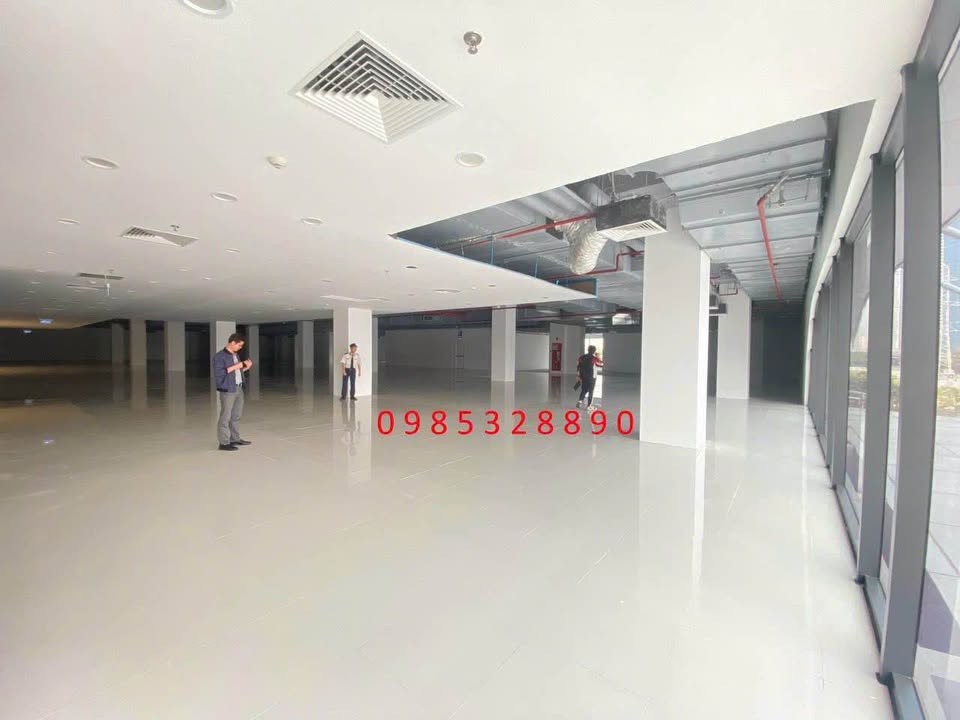 Sàn văn phòng cho thuê tại Việt Á Tower, Cầu Giấy 100m² giá chỉ 220k/m²