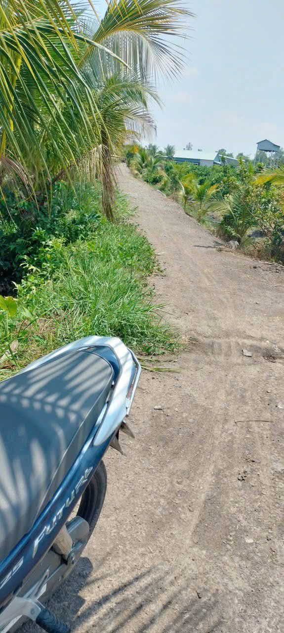 Đất nền 5500m² đường ô tô tại An Ninh, Đức Hòa, Long An - Cơ hội đầu tư hấp dẫn!