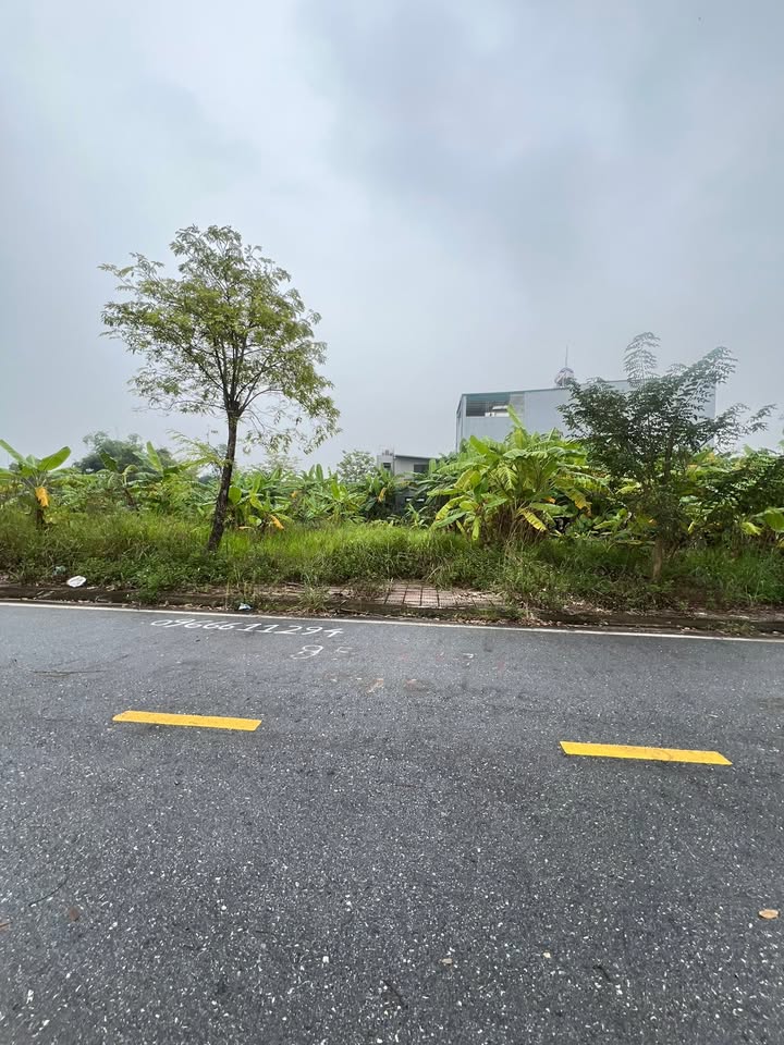 Đất nền Hội Hợp Vĩnh Yên 118m² giá 3 tỷ - Đối diện vườn hoa, gần chợ và trường học!