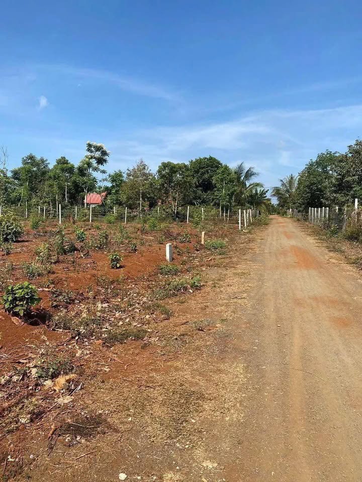 Đất nền mặt tiền đường Y Đôn, Buôn Hồ 180m² giá 960 triệu - Đầu tư sinh lời ngay!