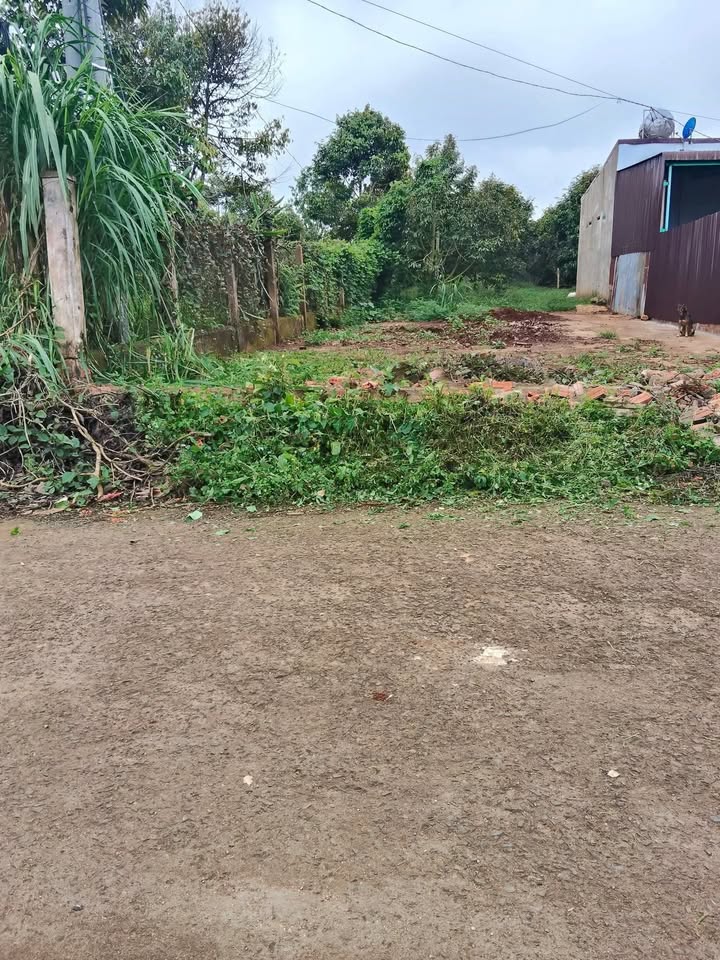 Đất nền Đạt Hiếu 512m² giá 998.4 triệu - Đầu tư sinh lời tuyệt vời!