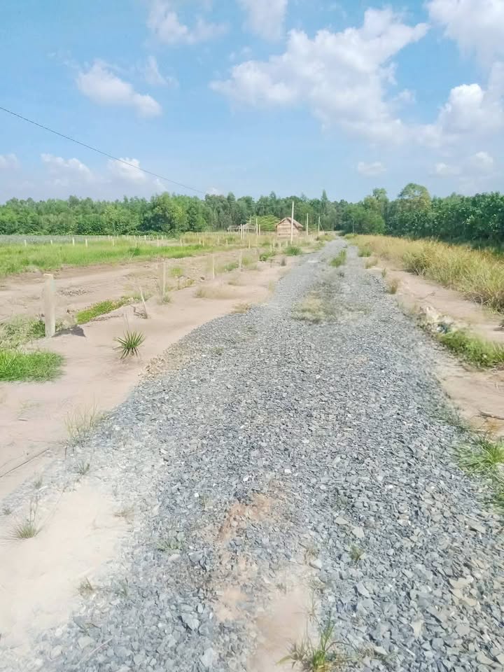 Đất nền ấp 5 xã Thạnh Tân 559m² giá 600 triệu - Đối diện cụm công nghiệp Thạnh Tân!