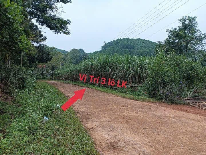 Đất nền Phúc Thịnh, Ngọc Lặc, 150m² chỉ 9x triệu - Tiềm năng sinh lời cao!