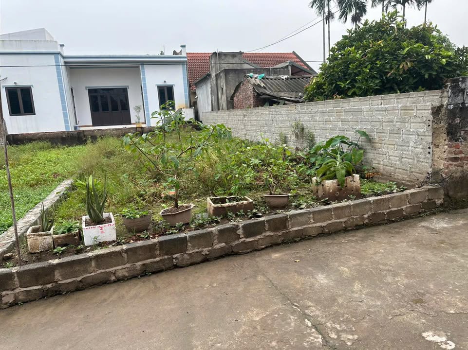 Đất nền chính chủ tại xóm 2 Chương Dương, Thường Tín 82m² - Đường ô tô tránh, giá chỉ 4x triệu!