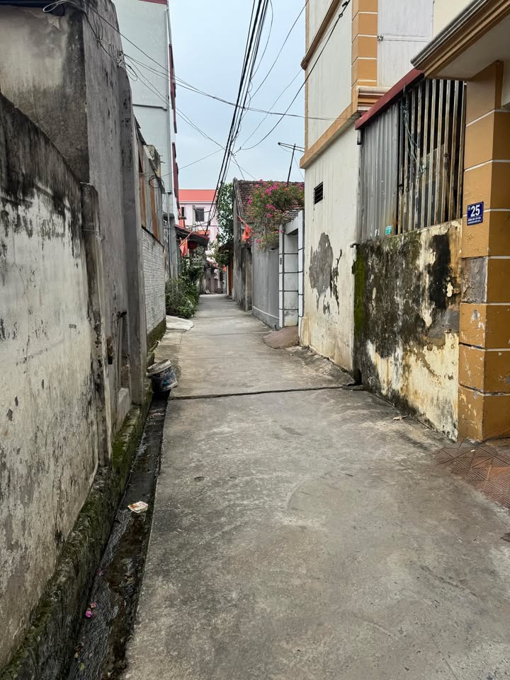 Đất Lưu Xá - Quất Động, 166m² chỉ 2x triệu/m² - Đầu tư sinh lời nhanh!