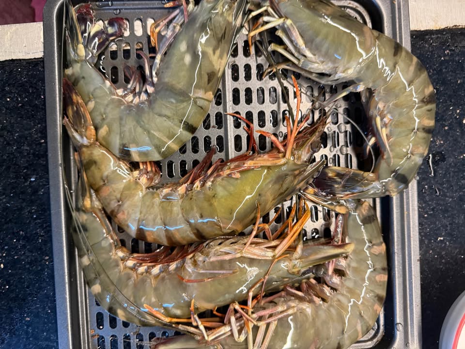 Nhà riêng Quy Nhơn 21m² giá 1.45 tỷ - Cơ hội đầu tư không thể bỏ lỡ!