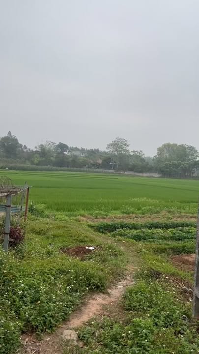 Đất nền Tân Thanh Lạng Giang 400m² giá 1 tỷ - Cơ hội đầu tư tuyệt vời!