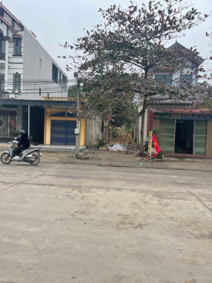 Đất thổ cư Nghĩa Phương, Lục Nam 146.5m² giá 2 tỷ - Cơ hội đầu tư tuyệt vời!