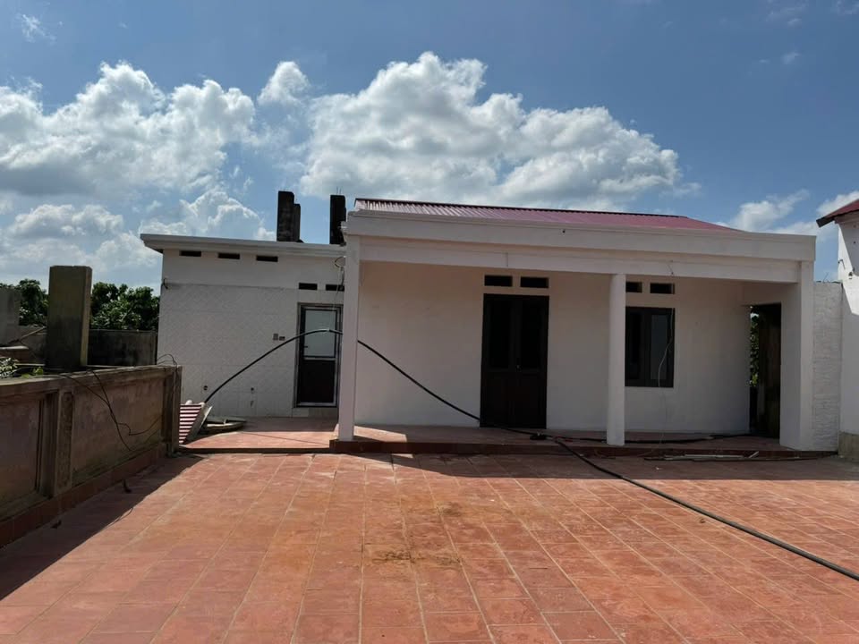 Đất nền Bình Sơn Lục Nam 500m² - Tặng nhà y hình, sẵn sàng ở ngay!