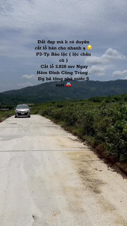 Đất nền Bảo Lộc 2880m² - Cắt lỗ ngay hẻm Đinh Công Tráng, thích hợp nghỉ dưỡng!