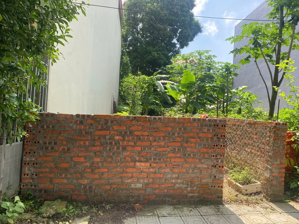 Cho thuê mặt bằng kinh doanh Tân Dân - 80m² giá tốt - Vị trí đắc địa sát chợ Mộ Xi!