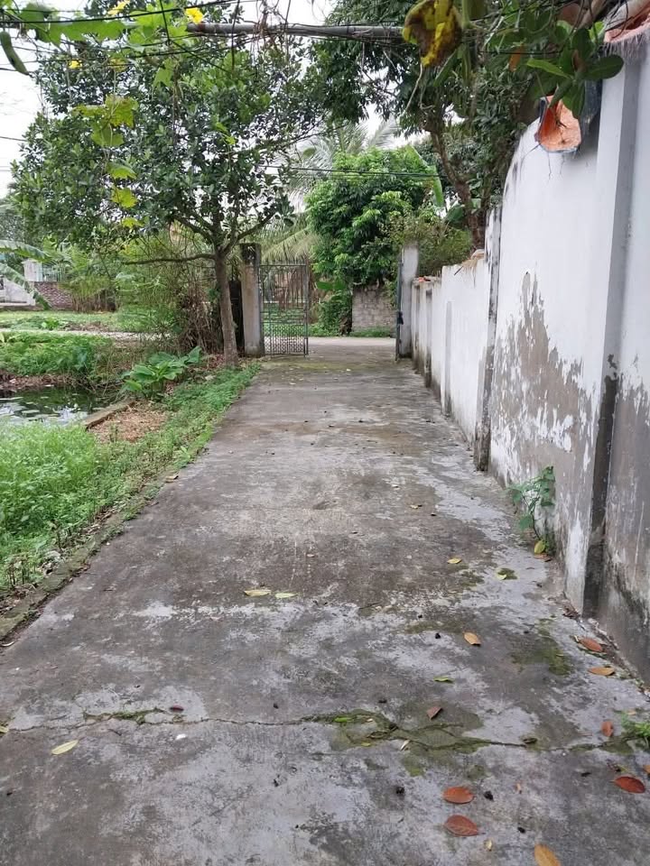 Nhà đẹp Ngọc Quế, 231m², giá thỏa thuận - Sổ đỏ chính chủ, ô tô vào tận sân!