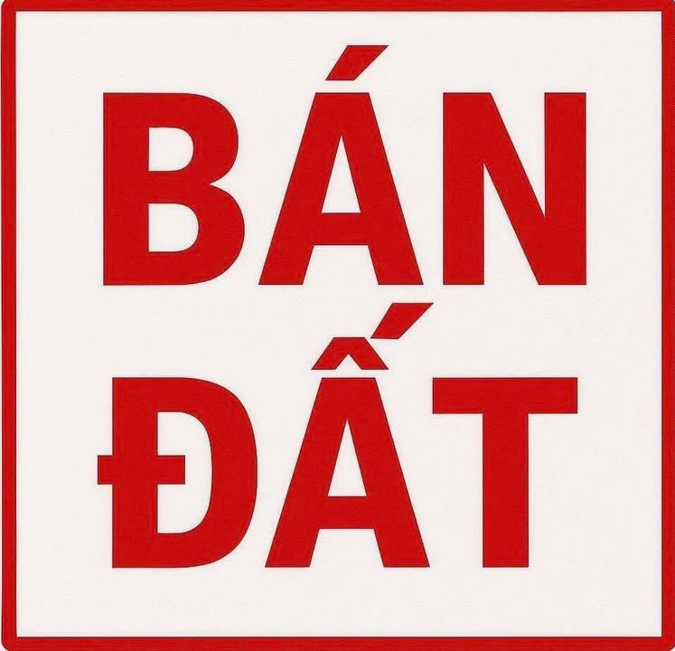 Đất thổ cư chính chủ tại Thôn Mỹ Hương, Thanh Mỹ, 91m² - Kinh doanh sầm uất!