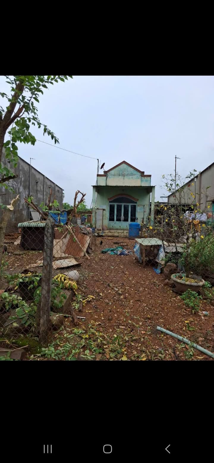 Nhà cấp 4 mặt tiền đường nhựa ấp 7, Trảng Bom, 332m² giá 950 triệu - Bán gấp trong 2 tuần!