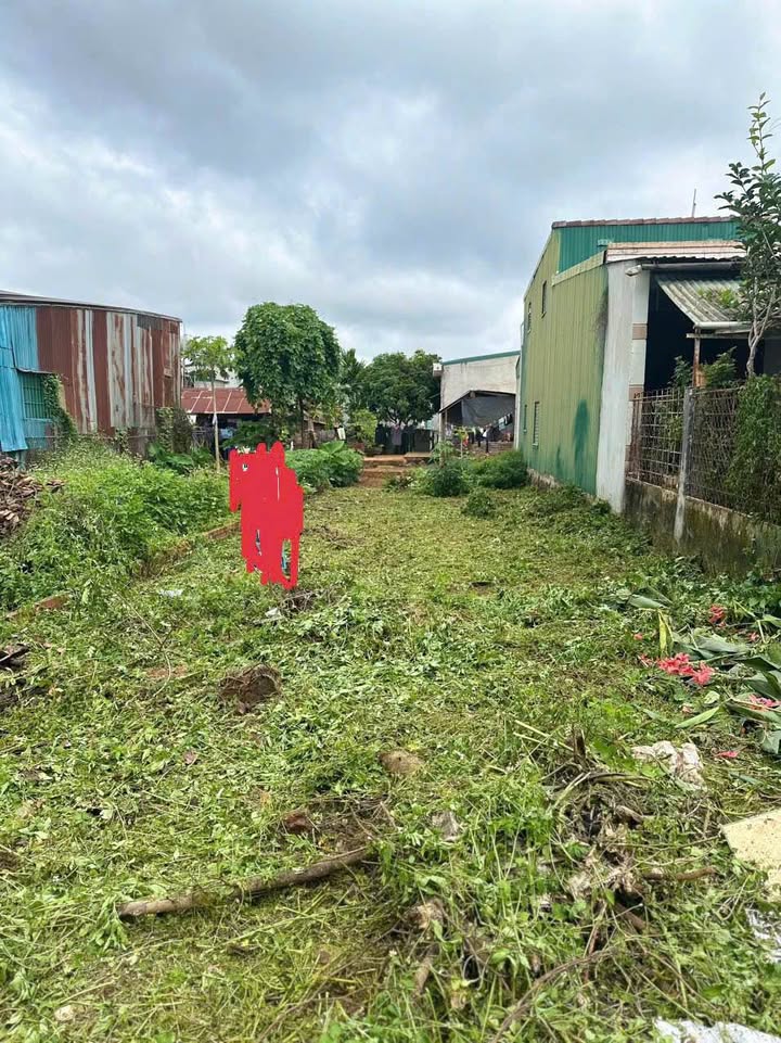 Đất mặt tiền đường Krong A Tân An 132m² giá chỉ 1.99 tỷ - Đầu tư sinh lời ngay!