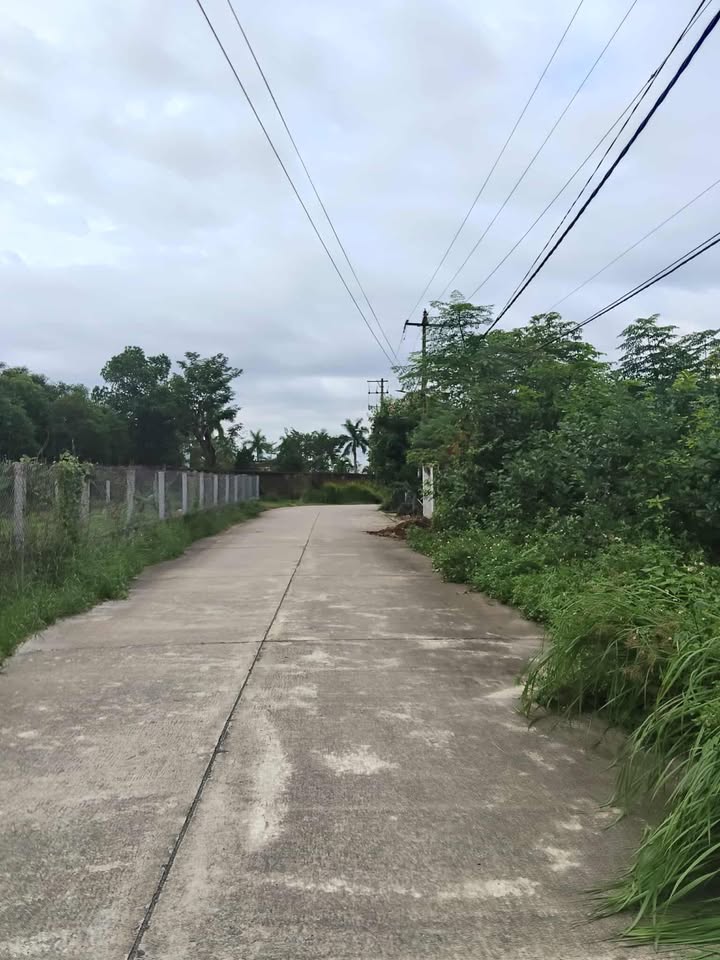 Lô đất Hòa Phong, Hòa Vang 174m² giá 1.6 tỷ - Đầu tư sinh lời ngay!