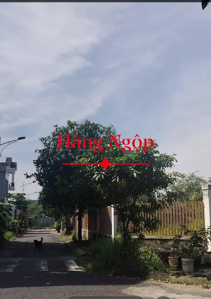 Đất Thủ Đức 8200m² giá 95 tỷ - Cơ hội đầu tư sinh lời cực tốt!