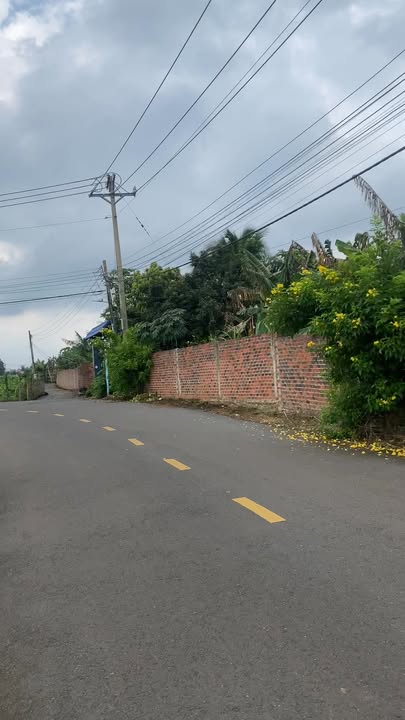 Đất mặt tiền đường nhựa Bàu Hàm, Trảng Bom 1005m² giá chỉ 1.35 tỷ - Cơ hội đầu tư hấp dẫn!