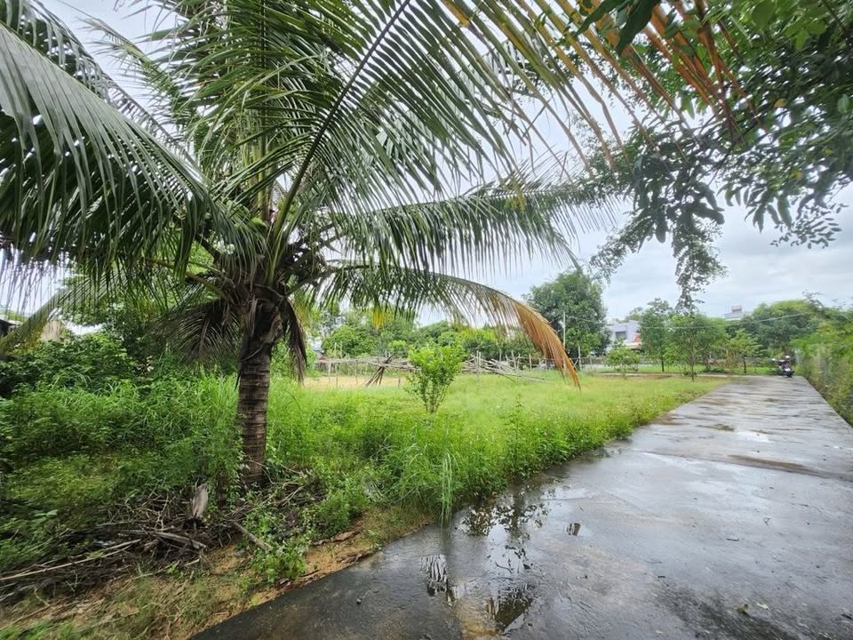 Đất nền siêu khủng 3830m² tại Câu Hà, Điện Ngọc - Thỏa thuận giá tốt!