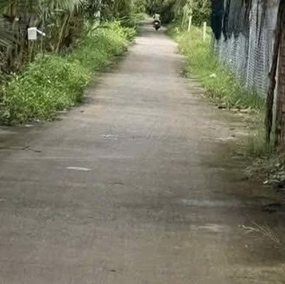 Đất thổ cư 125m² tại Nhi Mỹ, Cai Lậy - Giá chỉ 600 triệu, chính chủ bán gấp!