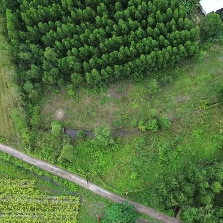 Đất nông nghiệp công nghệ cao tại Ninh Điền, Châu Thành, Tây Ninh - 3300m², giá thỏa thuận!