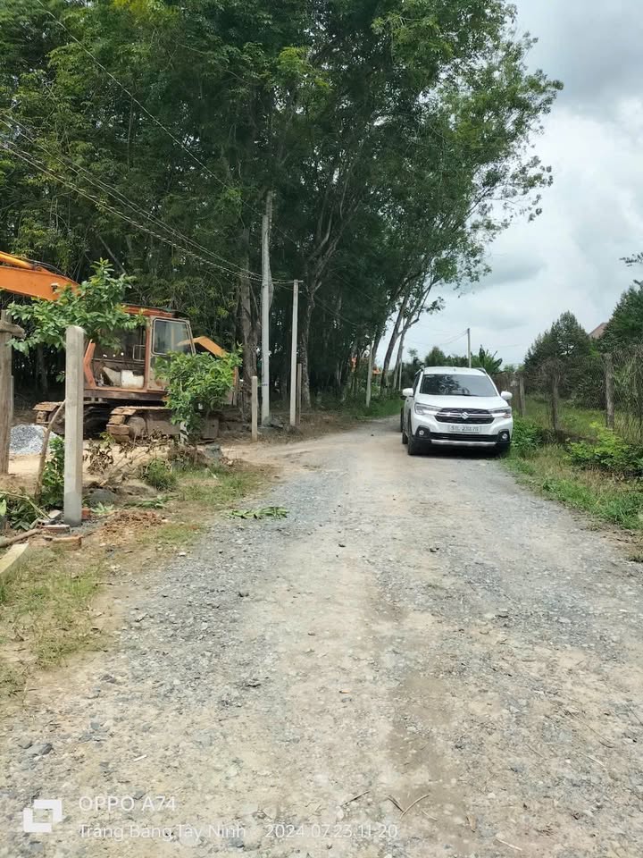 Đất nền Đôn Thuận Trảng Bàng 264m² giá chỉ 560 triệu - Cơ hội đầu tư hiếm có!