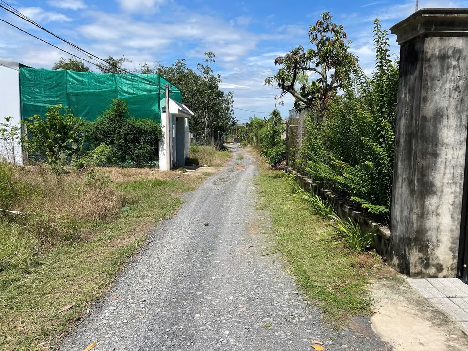 Đất thổ cư Gò Dầu - Xã Thạnh Đức 150m² giá 390 triệu - Cơ hội đầu tư tuyệt vời!