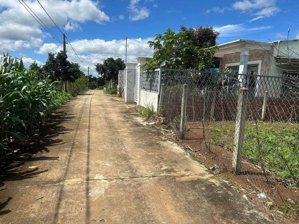 Đất nền Đông Thanh, Lâm Hà 650m² giá 1.5 tỷ - Đầu tư sinh lời ngay!