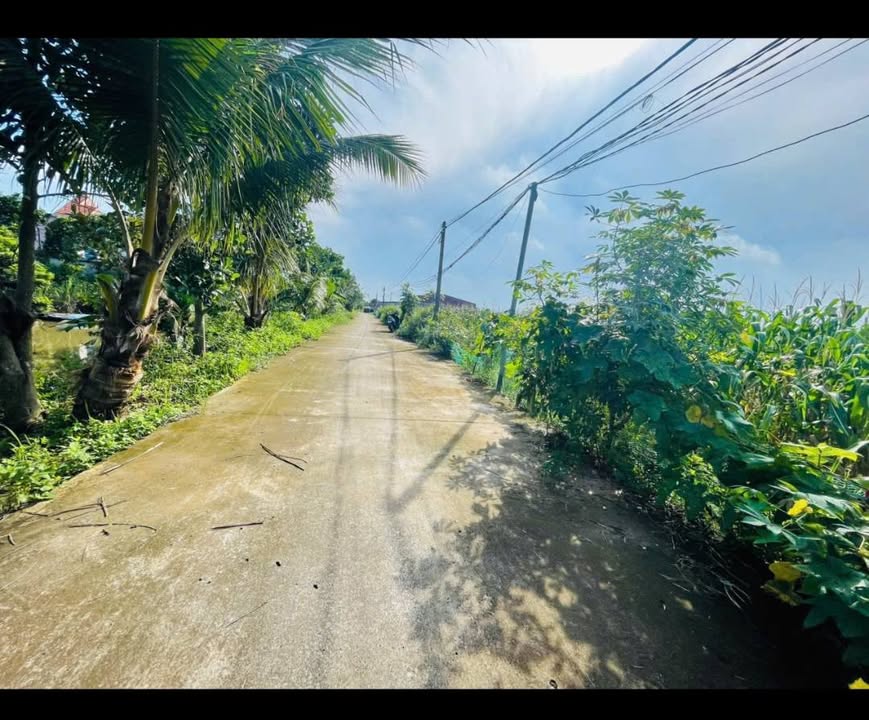 Đất đấu giá Ngự Thiên Hưng Hà 120m² giá chỉ 800 triệu - Đầu tư an toàn!