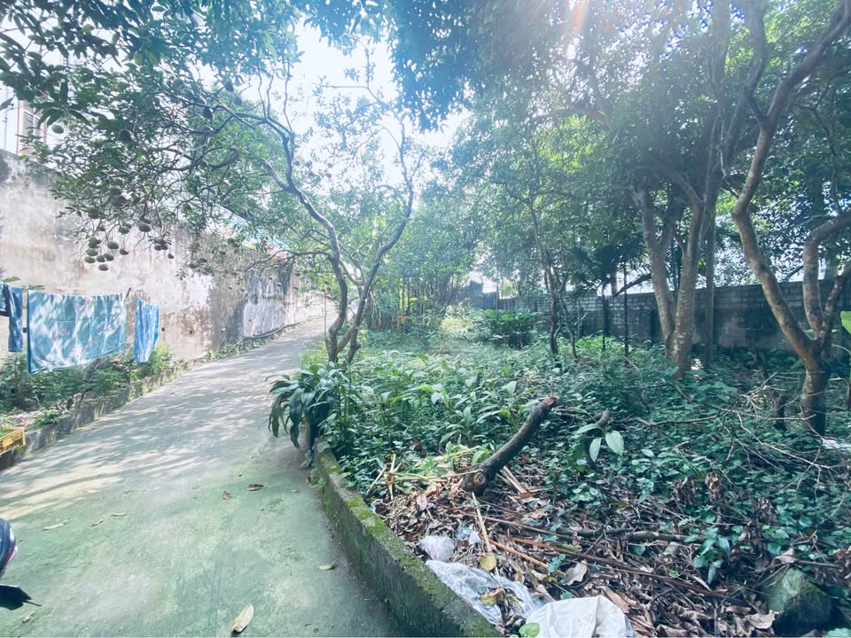 Đất nền Đoan Hùng 1000m² - Vị trí đẹp, nở hậu, thiết kế tự do - Giá thỏa thuận!