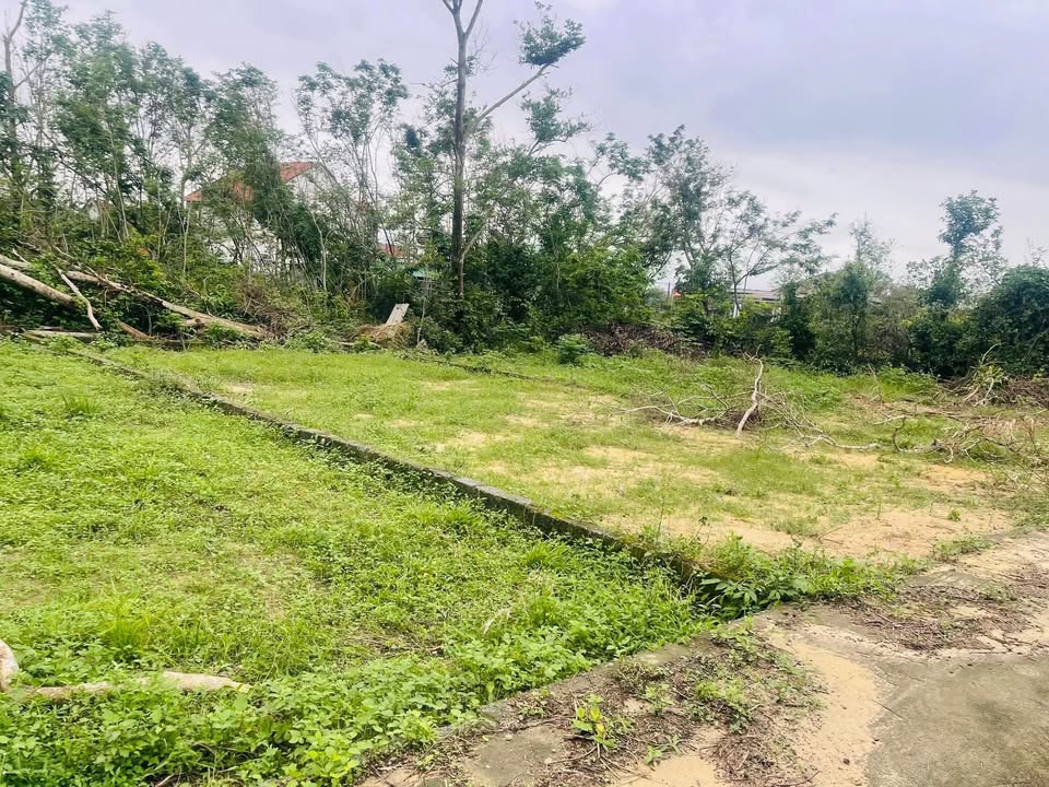 Đất Nền Xuân Giang Nghi Xuân 115m² giá 660 triệu - Vị trí đắc địa gần khu công nghiệp!