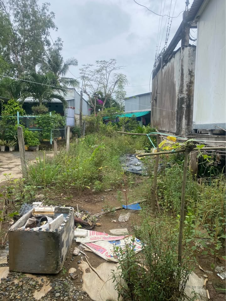 Đất thổ cư Bạc Liêu 52m² giá 270 triệu - Cơ hội đầu tư hấp dẫn!