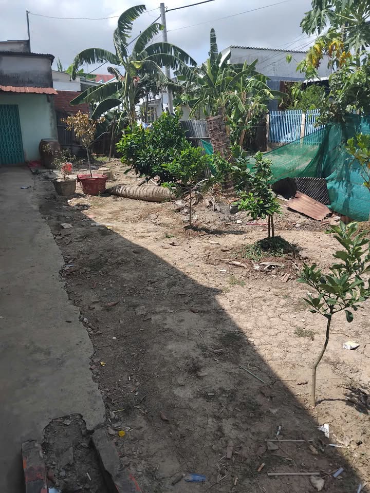 Đất thổ cư 120m² tại ấp Sóc Đồn, Bạc Liêu - Giá chỉ 400 triệu!