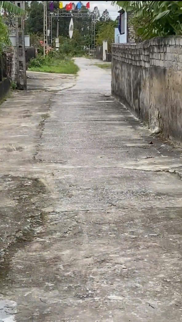 Đất nền Tân Phong 125m² giá 700 triệu - Vị trí đắc địa, dân cư đông đúc!