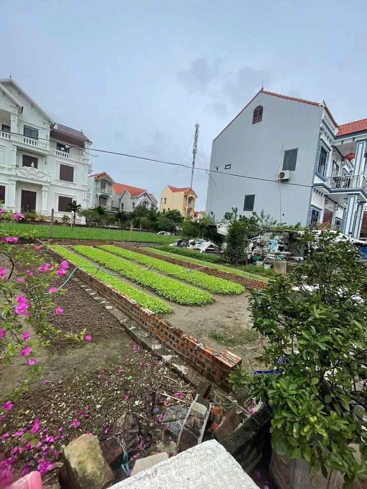 Đất Vĩnh Lộc, Thư Phú 48.1m² giá rẻ nhất khu - Đầu tư sinh lời ngay!