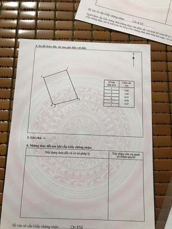 Đất lô góc phường Tam Sơn, Từ Sơn 41m² giá 1 tỷ - Cơ hội đầu tư hấp dẫn!