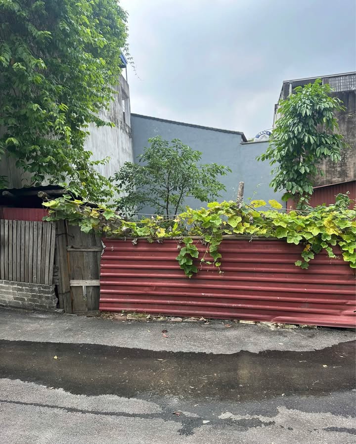 Đất nền phường Đồng Quang 85m² giá 3 tỷ - Đường ô tô tránh nhau, vị trí đẹp!