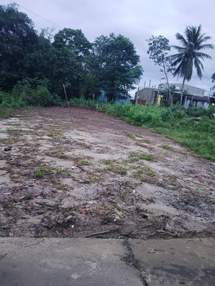 Đất mặt tiền đường bê tông Hòa Sơn 120m² giá 1 tỷ - Cơ hội đầu tư hấp dẫn!