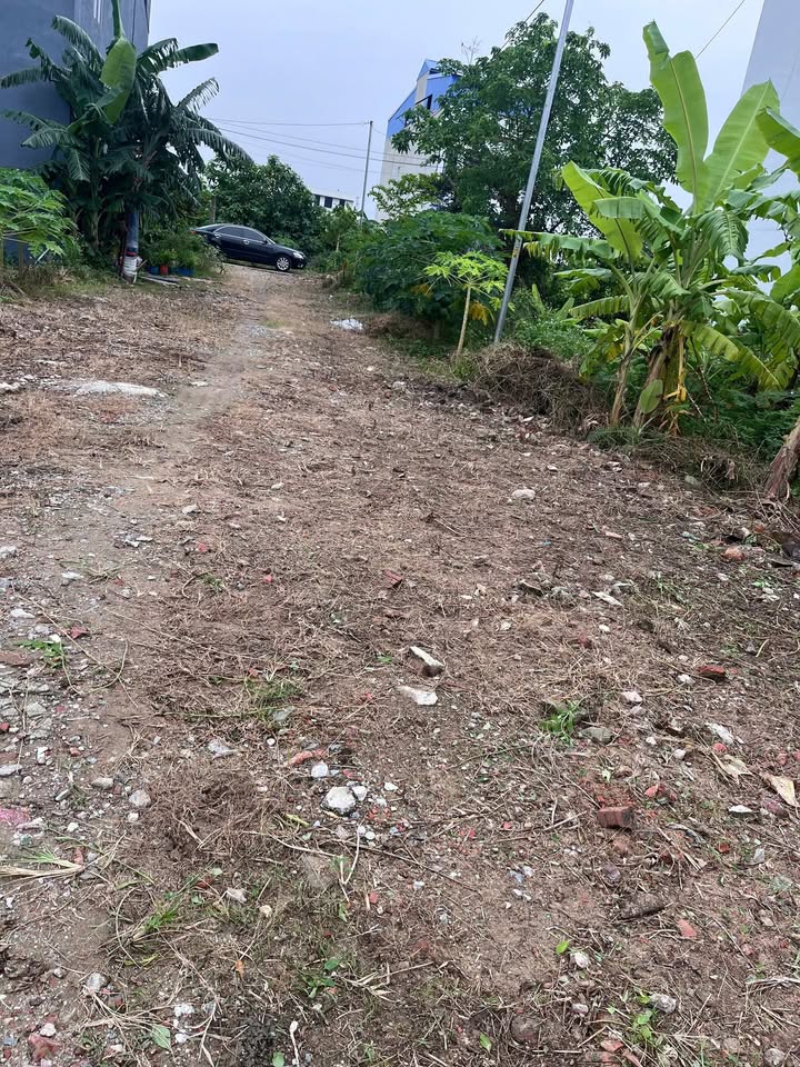 Đất Bạch Mai An Dương 100m² giá 3 tỷ - Đường rộng 7m, đầu tư sinh lời!