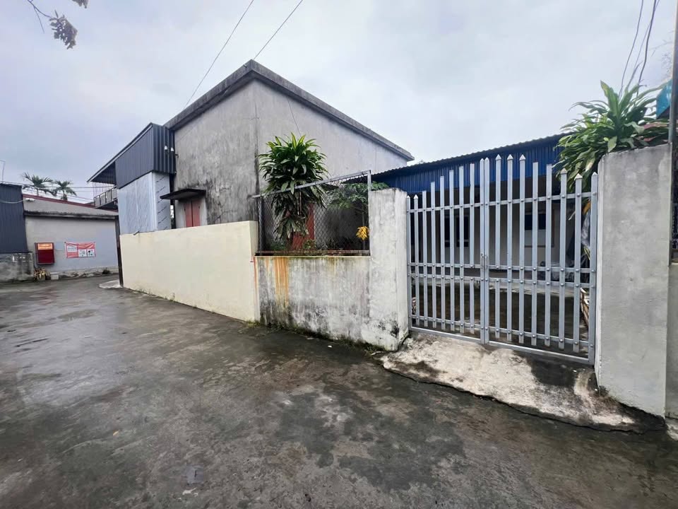 Đất nền Thụy Hương Kiến Thụy 80m² giá 1 tỷ - Cơ hội đầu tư sinh lời!