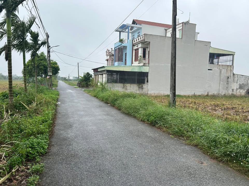 Đất mặt đường trục xã Hợp Tiến Đông Hưng Thái Bình 140m² giá chỉ 1.1 tỷ - Cơ hội đầu tư tuyệt vời!