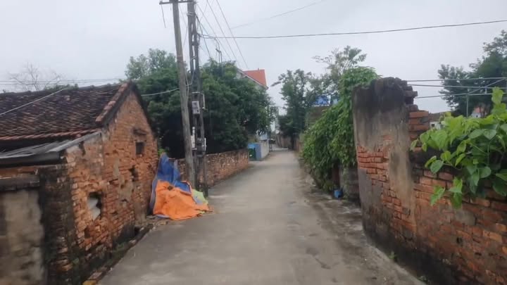 Đất thổ cư 200m² tại Lãng Sơn, Yên Dũng chỉ 1.55 tỷ - Cơ hội đầu tư tuyệt vời!