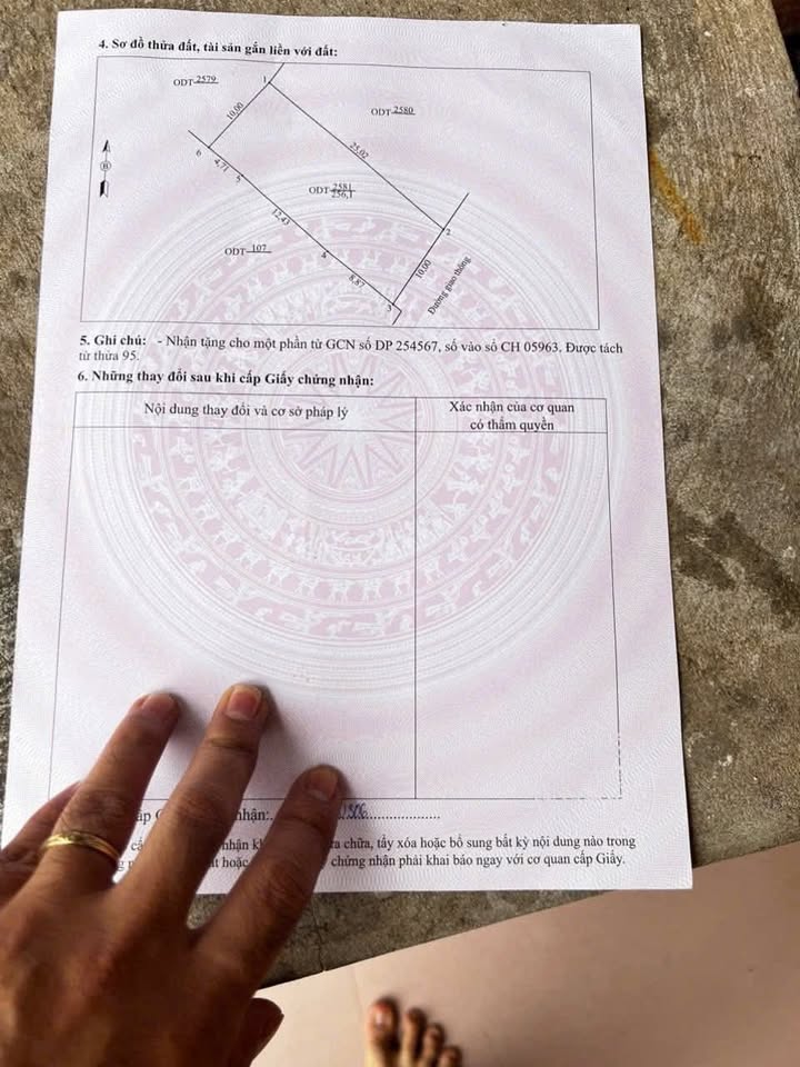 Đất nền chính chủ tại trung tâm thị trấn Triệu Sơn, 260m² - Vị trí kinh doanh đắc địa!