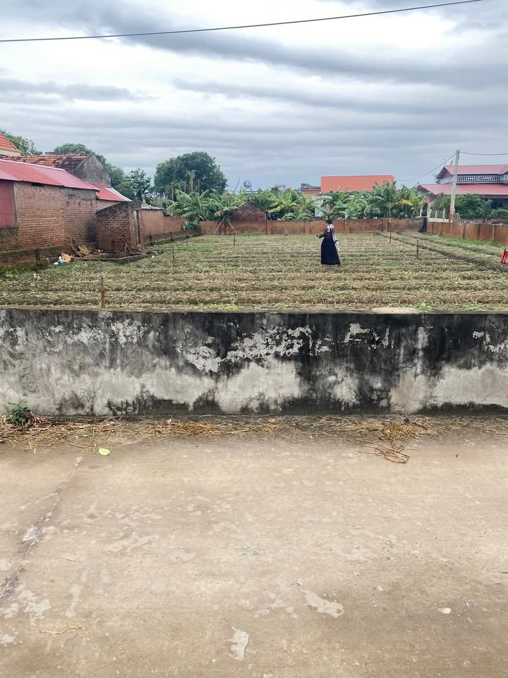 Đất nền Minh Tân, Lương Tài, Bắc Ninh 87m² giá chỉ 1 tỷ - Cơ hội đầu tư tuyệt vời!