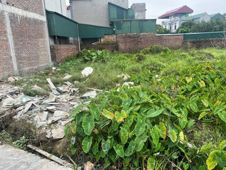 Đất Thượng Vũ An Bình 117m² giá nhỉnh 2 tỷ - Đường ô tô vào tận nơi!