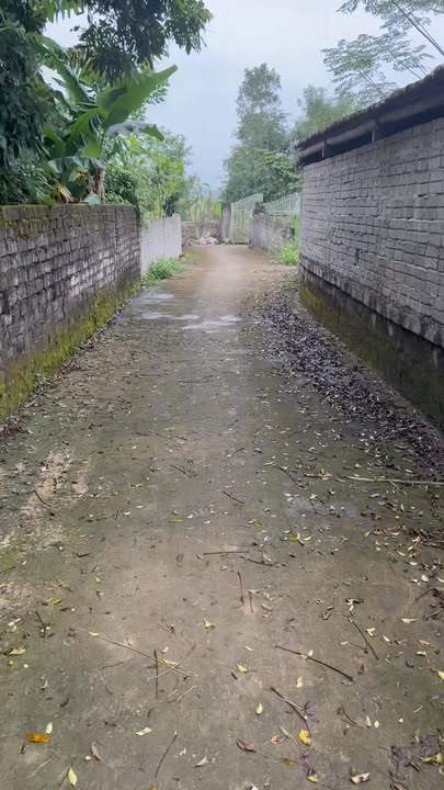 Đất liền kề Vĩnh Hòa Vĩnh Lộc 622m² giá 300 triệu - Cơ hội đầu tư hấp dẫn!