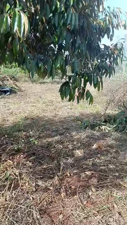 Đất nền Phước An, Krông Pắc 500m² giá 1.199 tỷ - Cần bán gấp, pháp lý đầy đủ!