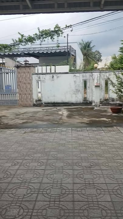 Nhà + Đất Xóm Mới, Gò Dầu, Tây Ninh 1155m² giá 2.4 tỷ - Chính chủ, thương lượng!