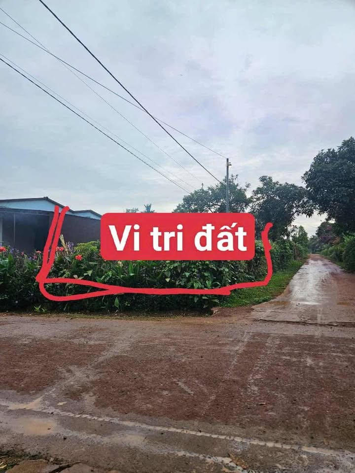 Đất nền Ea Tul, Buôn Ma Thuột 262m² giá 550 triệu - Sổ hồng chính chủ, đầu tư sinh lời!
